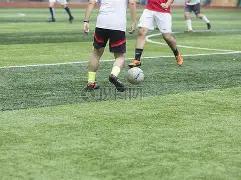 河北,十五五,规划建议正,安博体育平台,安博体育官方网站,安博体育登录入口,安博体育app下载