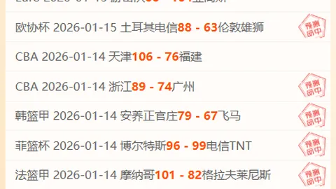 何塞·卢获安切洛蒂大力推崇：贡献非凡价值