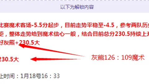 达喀尔拉力赛：速度生存的极限对决